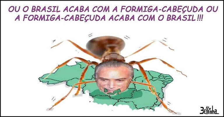 Formiga.jpg