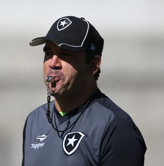 Ricardo Gomes Botafogo (Foto: Satiro Sodré / SSpress / Botafogo)