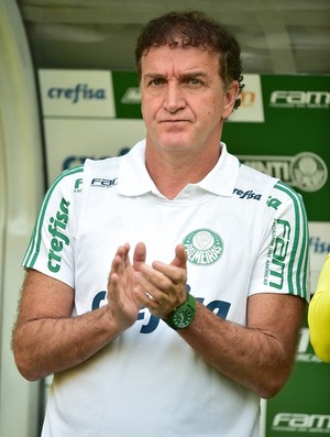 Palmeiras X Vitória Cuca (Foto: Marcos Ribolli)