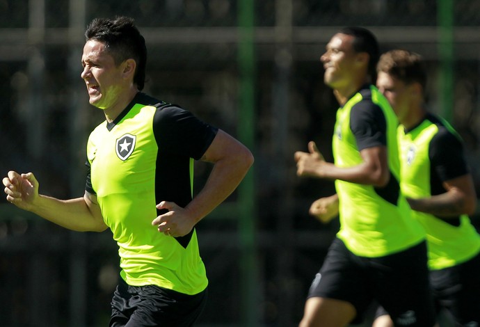 Canales, Botafogo (Foto: Vitor Silva/SSPress/Botafogo)