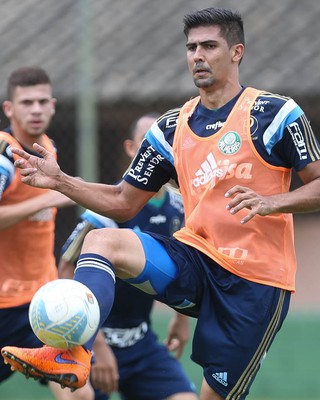 Leandro Almeida Palmeiras (Foto: César Greco / Ag. Palmeiras / Divulgação)