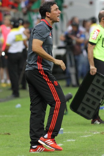 Zé Ricardo Flamengo (Foto: Gilvan de Souza / Flamengo)