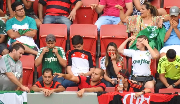 Torcida Gás de Pimenta Flamengo x Palmeiras (Foto: Fred Gomes)