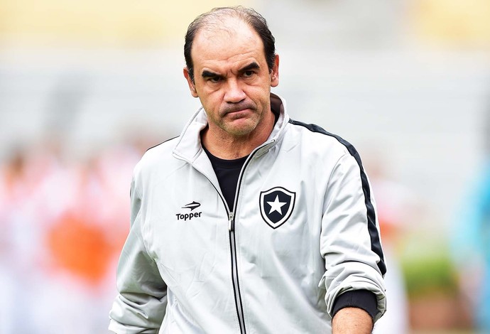 ricardo gomes santos x botafogo (Foto: Marcos Ribolli)