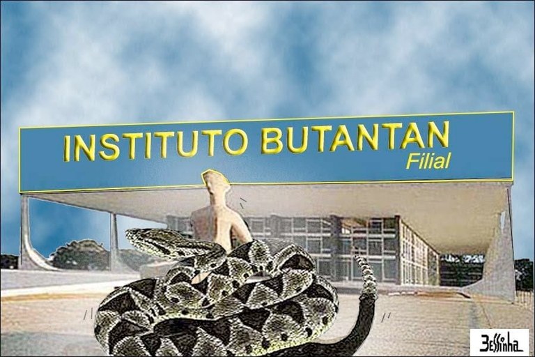 Butantan_900x600.jpg