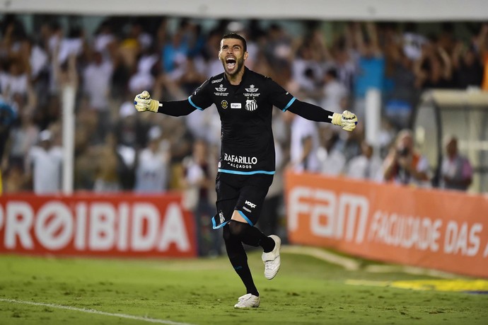 Vanderlei - Santos x Palmeiras (Foto: Marcos Ribolli)