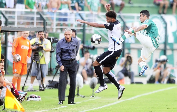 Palmeiras x Corinthians André Egídio Tite (Foto: Marcos Ribolli )