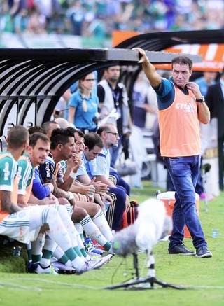 Palmeiras x Corinthians Cuca (Foto: Marcos Ribolli )