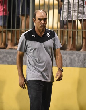 Ricardo Gomes durante jogo do Botafogo (Foto: André Durão/Globoesporte.com)