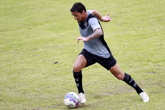 Salgueiro Botafogo (Foto: Vitor Silva / SSpress / Botafogo)