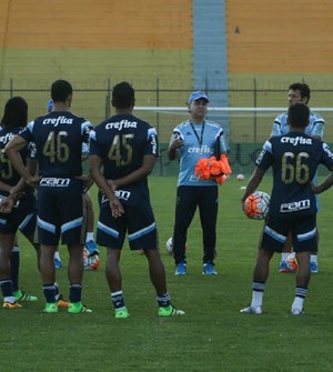 Treino Palmeiras (Foto: Cesar Greco/Ag Palmeiras/Divulgação)