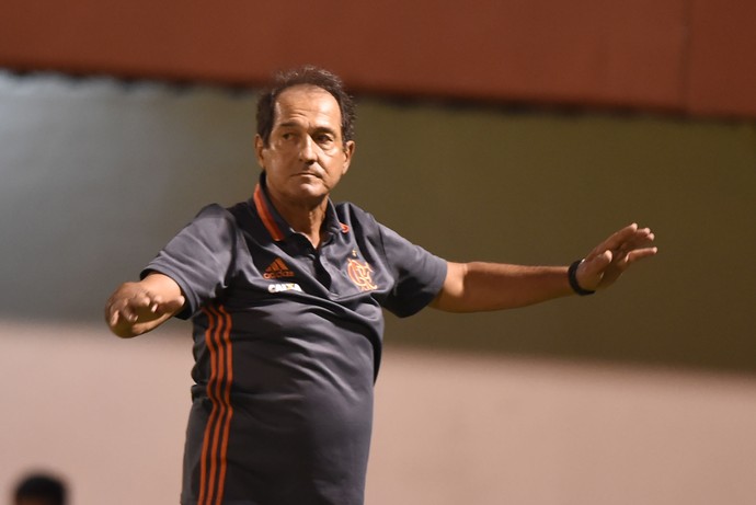 muricy ramalho, técnico do flamengo (Foto: andré durão)