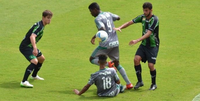 Palmeiras x América-MG (Foto: Filipe Rodrigues)