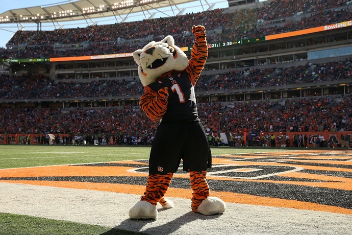 Paul Brown Stadium - Cincinnati Bengals NFL (Foto: Andy Lyons / Getty Images)