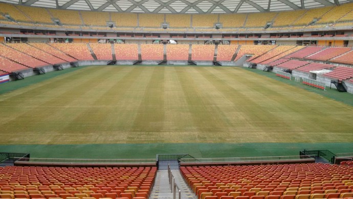 Gramado da Arena da Amazônia foi revitalizado (Foto: Divulgação)