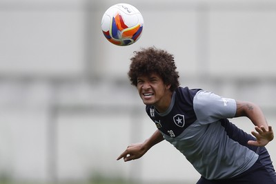 Willian Arão Botafogo (Foto: Vitor Silva / SSPress / Botafogo)