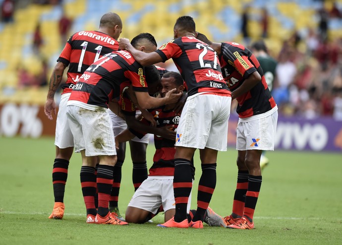 comemoração do gol de alan patrick, Flamengo x Goiás Campeonato Brasileiro 2015 (Foto: andré durão)