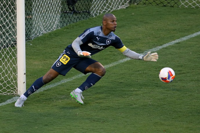 Jefferson - Botafogo x Bahia (Foto: Satiro Sodré / SSPress)