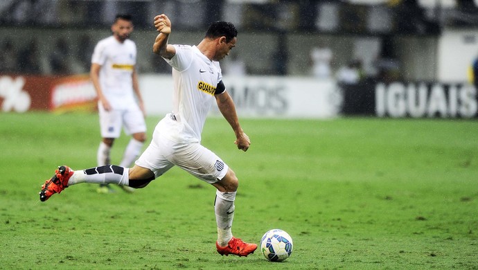 Santos x Palmeiras, Vila Belmiro (Foto: Marcos Ribolli)