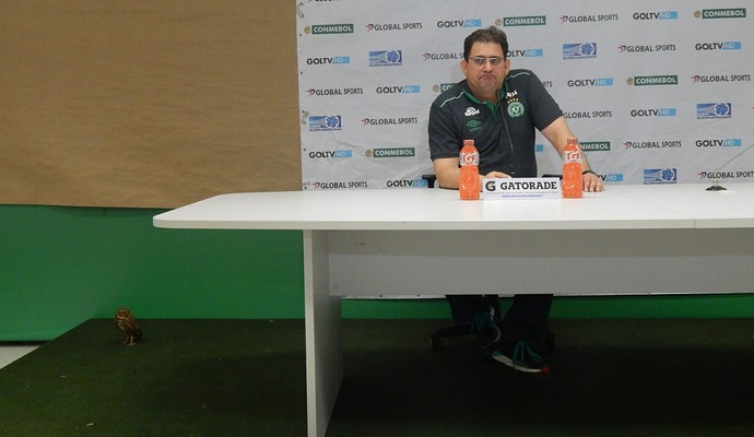 Guto Ferreira Chapecoense coruja (Foto: Laion Espíndula )