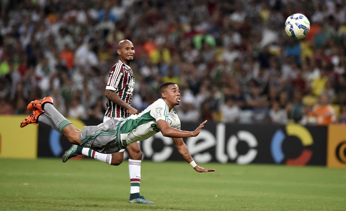 Fluminense x Palmeiras, Maracanã. (Foto: andré durão)