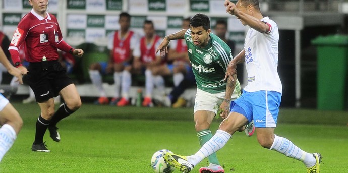 Palmeiras x Avaí Dudu (Foto: Marcos Ribolli)