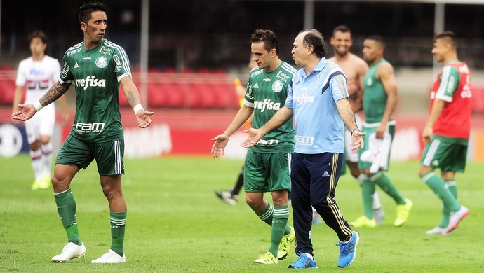 São Paulo, Palmeiras, Marcelo Oliveira (Foto: Marcos Ribolli)