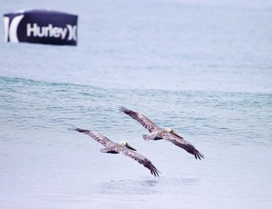 Expectativa é de que o último dia do campeonato seja sexta-feira - circuito mundial de surfe em trestles eua (Foto: Divulgação/WSL)