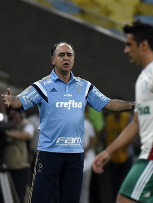 Marcelo Oliveira - Fluminense x Palmeiras (Foto: André Durão)