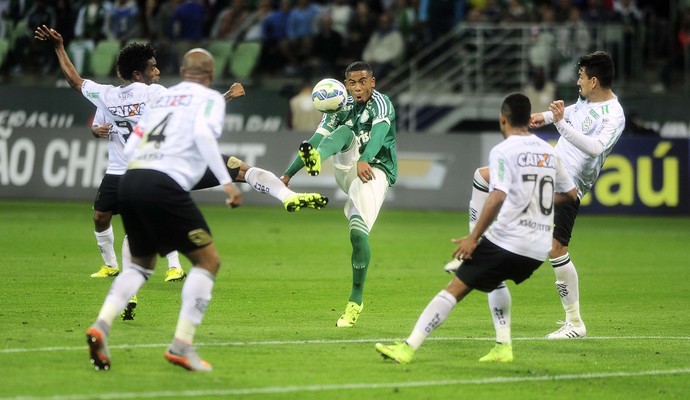 Palmeiras Figueirense (Foto: Marcos Ribolli )