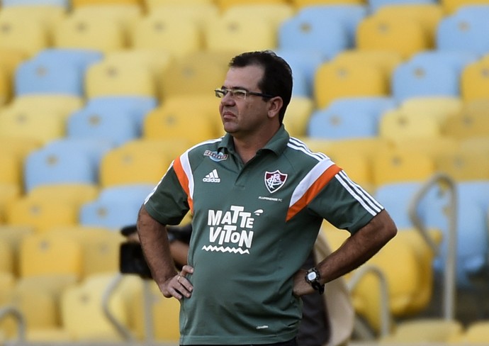 Enderson Moreira Fluminense (Foto: André Durão / GloboEsporte.com)