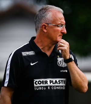 Dorival Júnior, técnico do Santos (Foto: Ivan Storti / Divulgação Santos FC)