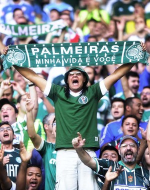 Palmeiras x Santos - Torcida (Foto: Marcos Ribolli)