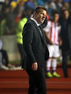 Dunga Brasil x Paraguai Copa América 2015 (Foto: Ag. Estado)