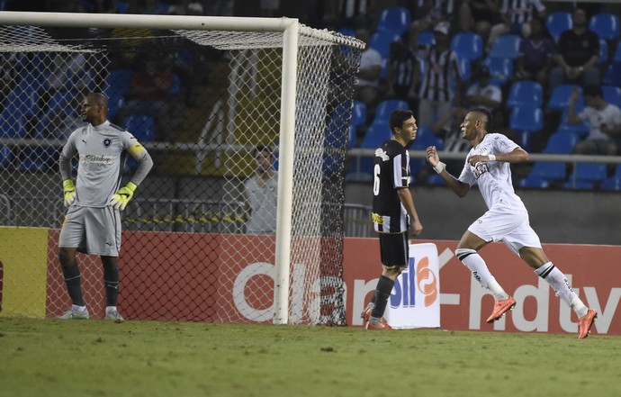 Marcão Botafogo x Figueirense Copa do Brasil (Foto: André Durão)