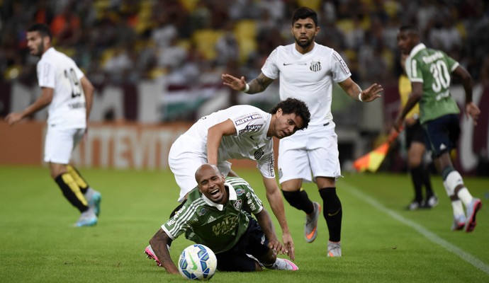 Fluminense x Santos - Wellington Silva (Foto: André Durão)