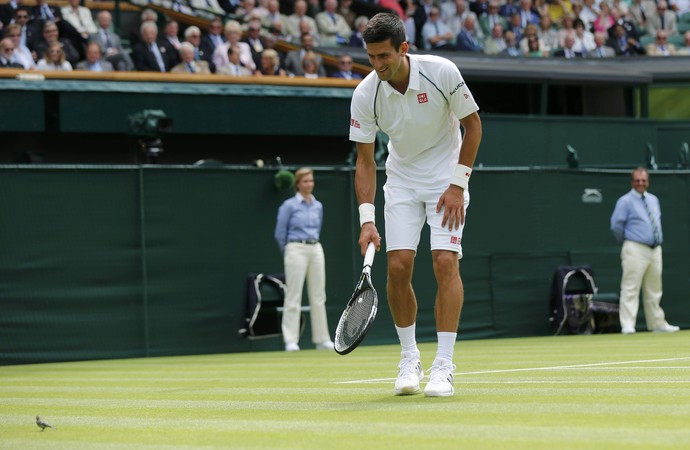 Djokovic espanta passarinho em Wimbledon (Foto: Reuters)