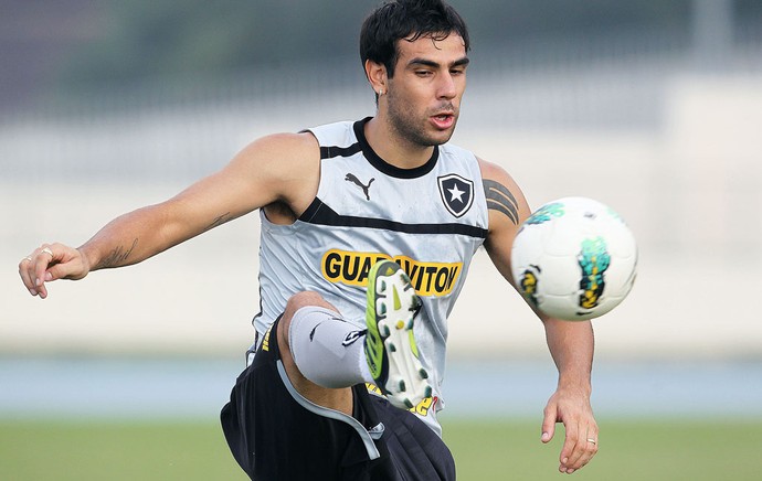 Herrera Botafogo (Foto: Satiro Sodré / Agif)