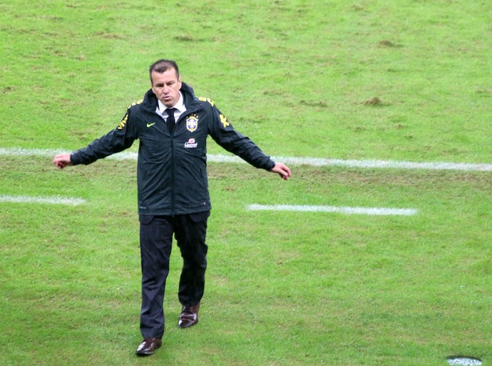 Dunga se irrita no amistoso contra Honduras (Foto: Diego Guichard)