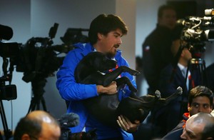 Voluntário Copa América retira cachorro da coletiva de Sampaoli e Vidal (Foto: EFE/Osvaldo Villarroel)