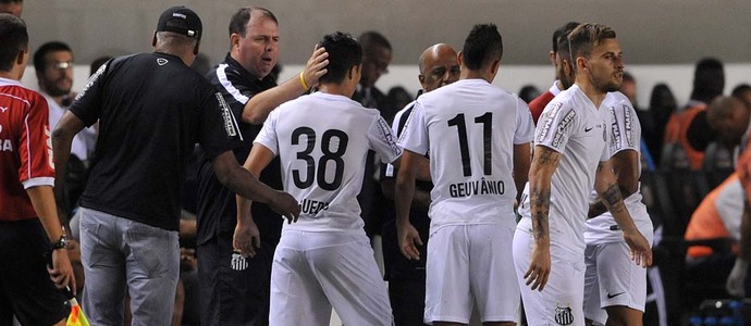 Marcelo Fernandes, técnico do Santos (Foto: Ivan Storti / Divulgação Santos FC)