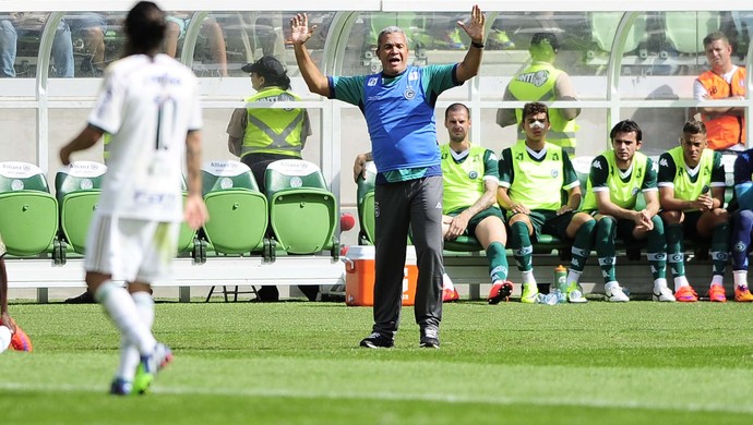 Palmeiras x Goiás - Helio dos Anjos (Foto: Marcos Ribolli)