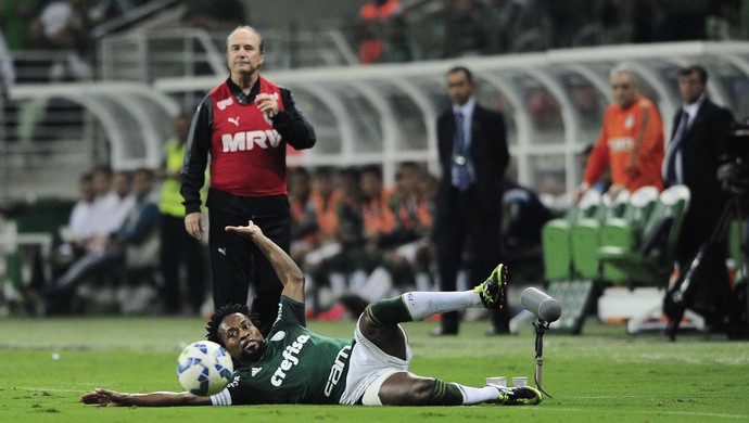 Zé Roberto Palmeiras x Atlético-MG (Foto: Marcos Ribolli)