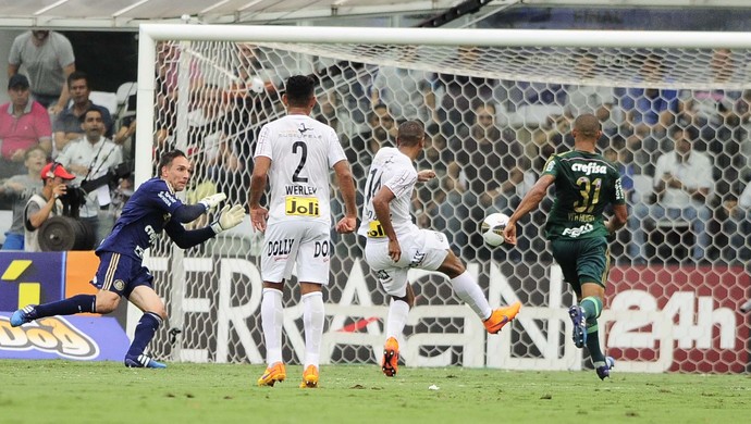 Santos x Palmeiras (Foto: Marcos Ribolli)