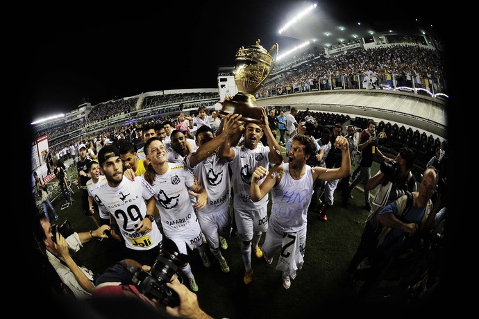 Santos x Palmeiras (Foto: Marcos Ribolli)