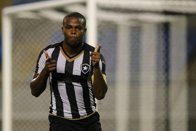 Vinicius Tanque Botafogo gol em cima do Flamengo (Foto: Vitor Silva / SSPress)