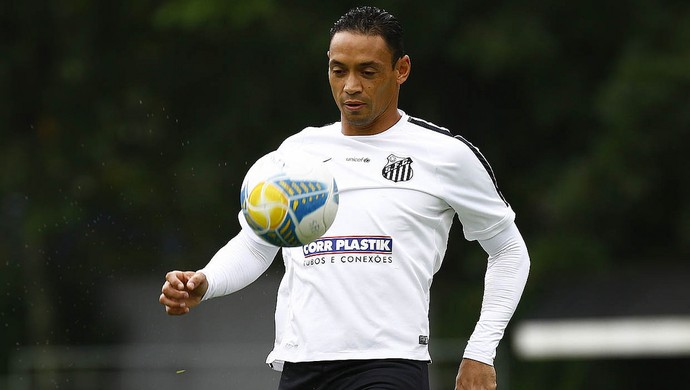 Ricardo Oliveira, Santos (Foto: Ricardo Saibun/Santos FC)