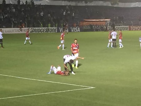 Pato dá dura em Graví (Foto: Marcelo Hazan)