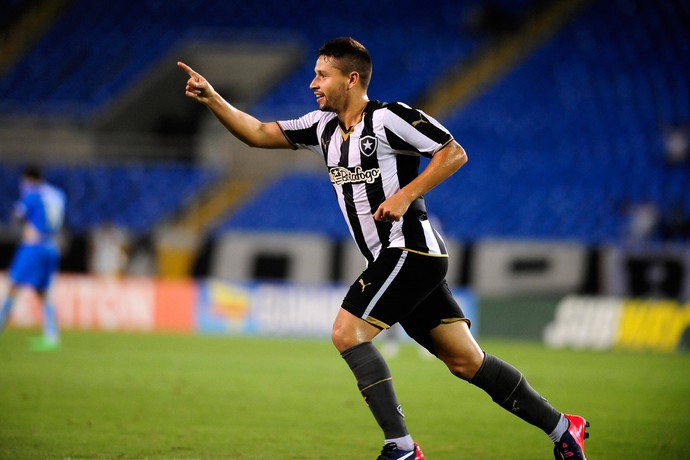 Elvis gol Botafogo (Foto: Dhavid Normando / Ag. Estado)