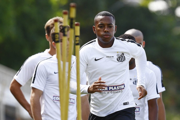 Robinho, Santos (Foto: Ricardo Saibun/Santos FC)